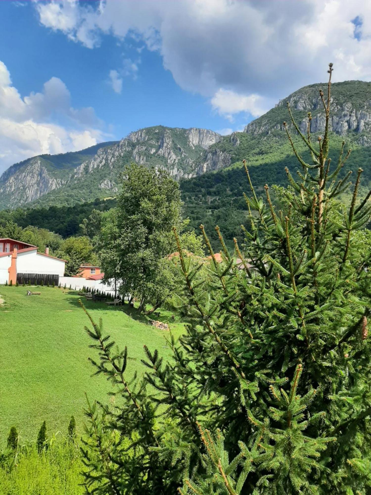Pensiune Safrane Băile Herculane Exterior photo