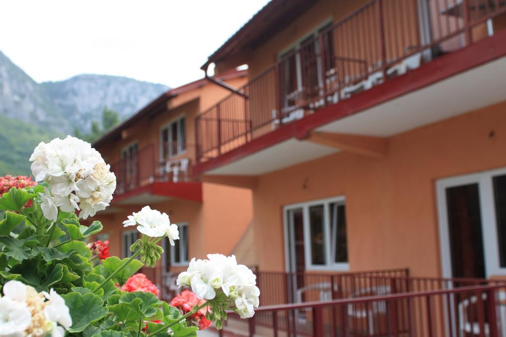 Pensiune Safrane Băile Herculane Exterior photo